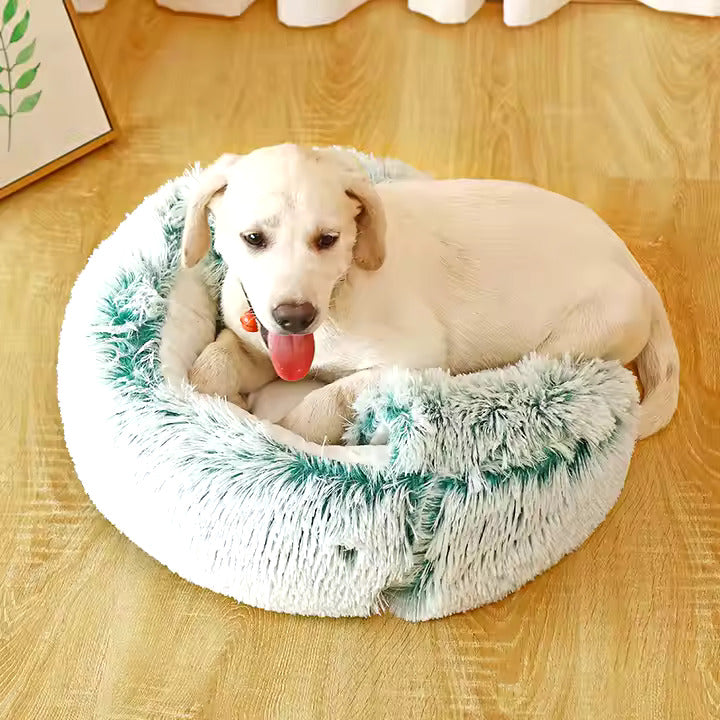 2-in-1 Hundekuschelhöhle 2