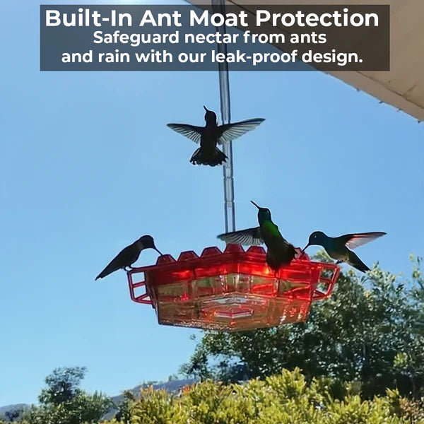 Ameisensicheres Kolibri-Feeder mit 30 bienenresistenten Anschlüssen 3