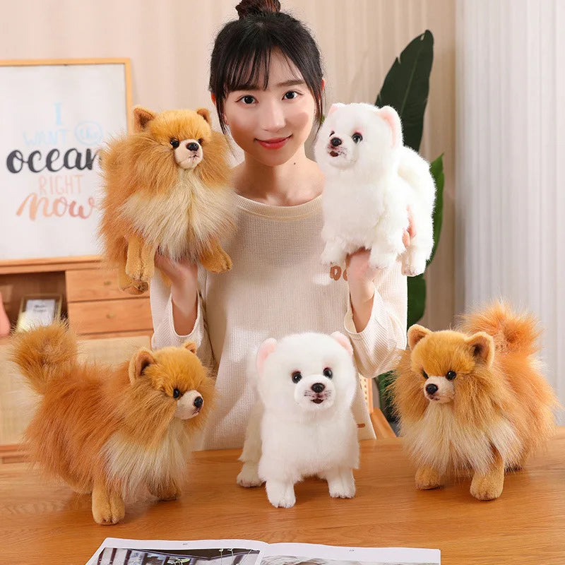 Hochwertiger Plüsch-Pomeranian – Weiche, realistische Hunde-Plüschtiere für Kinder, 30 cm groß 1