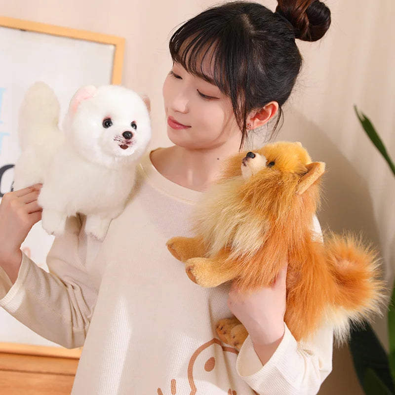 Hochwertiger Plüsch-Pomeranian – Weiche, realistische Hunde-Plüschtiere für Kinder, 30 cm groß 2
