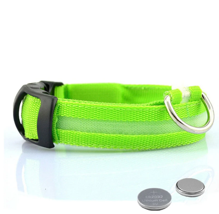 Hundehalsband mit LED-Leuchten 4