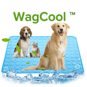 Kühlende Hundematte - CoolPet Mat 1