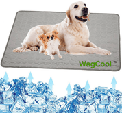 Kühlende Hundematte - CoolPet Mat 7