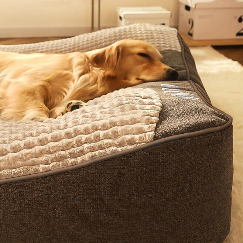 Orthopädisches Hundekissenbett – Großes, dickes Hundebett mit Nackenstütze und abnehmbarem, waschbarem Bezug 4