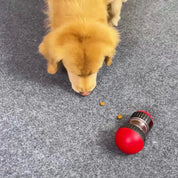 PawMind | Interaktives Hundepuzzle-Spielzeug mit Futterautomatik zur geistigen Anregung 2