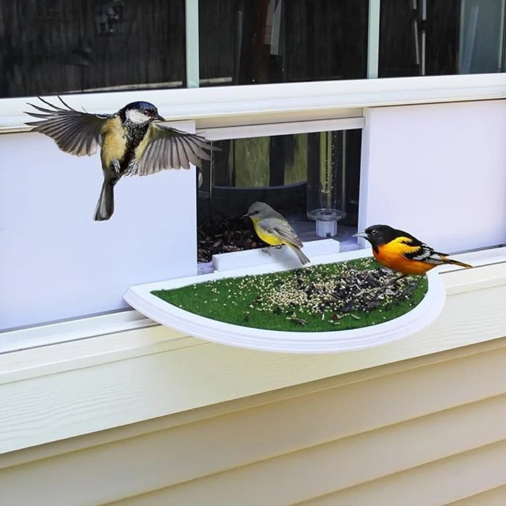 Vogelfutterhaus Mit Reflexionsfreiem Panoramafenster Für Fenster 27-28 Zoll – Ideal Für Vogelbeobachtung Zuhause 5