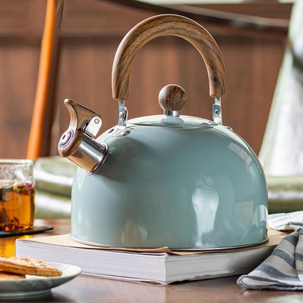 Wasserkocher aus Edelstahl für den Herd – mit Pfeiffunktion und ergono – Grace Hawthorne