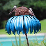 Zapfenvogelfutterleiter 0