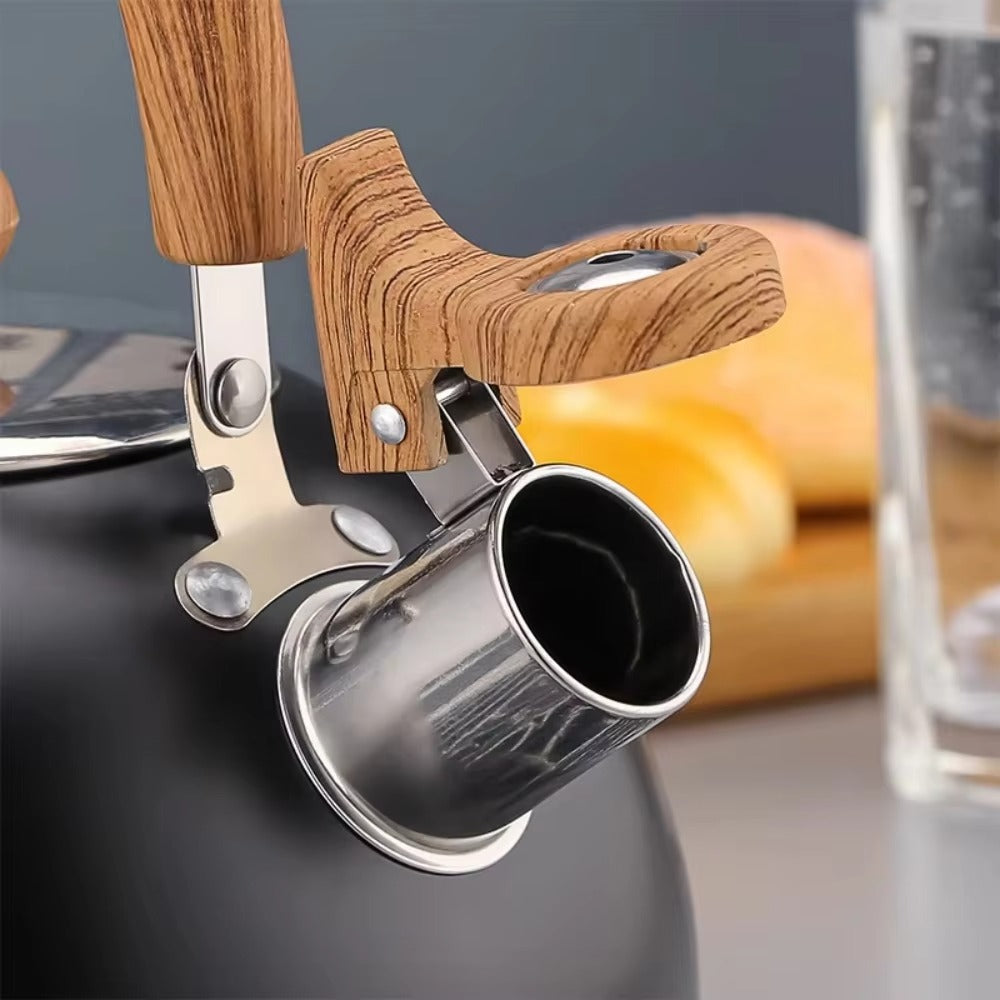 Vattenkokare i rostfritt stål för spisen – med visselfunktion och ergonomiskt handtag